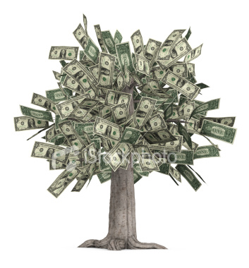 money_tree-árvore_de_dinheiro